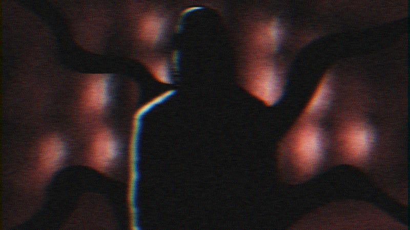 File:RapesonIICellCamera.png