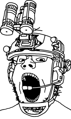 PVS-31.png