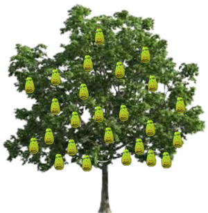 PearsonTree.png